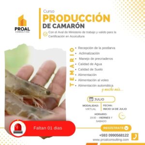 Producción de camarón