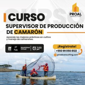 Producción de Producción de Camarón