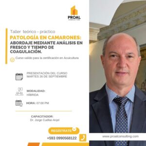 Patología en camarones