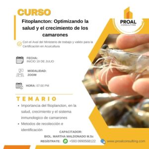 FITOPLANCTON: Optimizando la salud de los camarónes