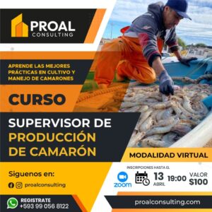 Supervisor de Producción de Camarón